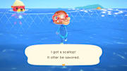 Photo of player diving in ACNH