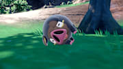 Lechonk, the Hog Pokemon that made its debut in the new Pokemon Scarlet and Violet trailer, is making waves on social media.