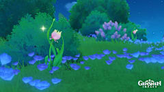 Genshin Impact screenshot of Rainbow Roses.