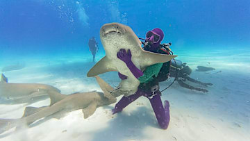 Underwater Jamie Ferguson Holding Shark
