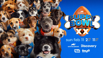 Puppy Bowl XX. Image courtesy Animal Planet © 2023 Warner Bros. Discovery, Inc. 