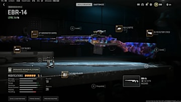 "It's basically like the DMR meta is finally back."