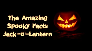 Do you know how many species of bats actually drink blood?