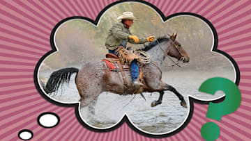 Go horsey, go! 