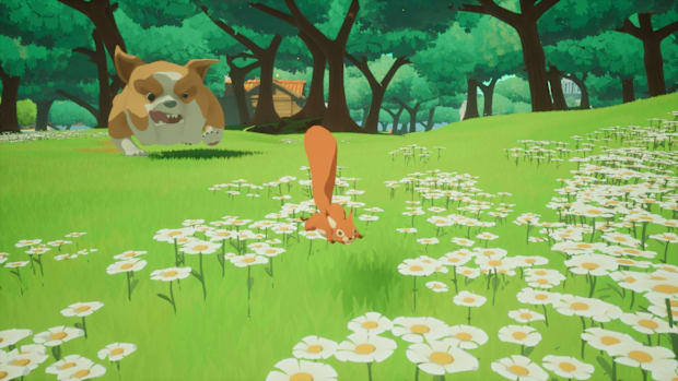 A squirrel running away from a dog in a meadow with daisies.