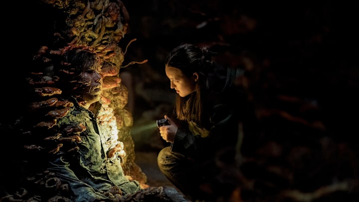 Photograph by Liane Hentscher/HBO