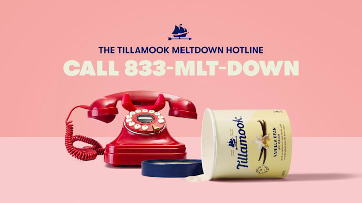 Tillamook Meltdown Hotline 