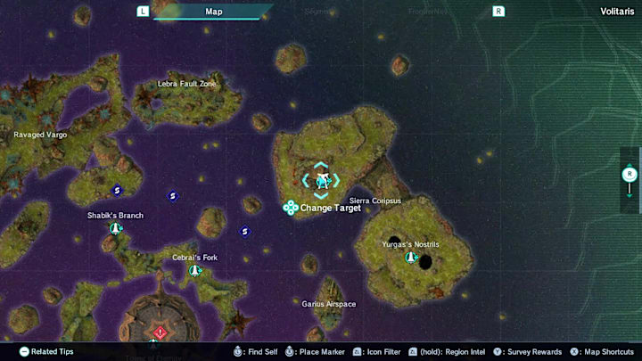 Neilnail location