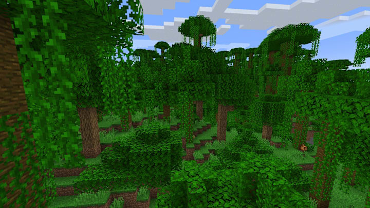 A Jungle biome in Minecraft