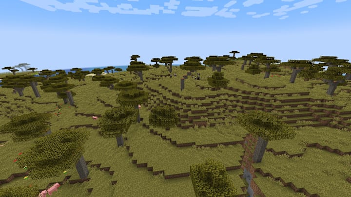 A Savannah biome in Minecraft