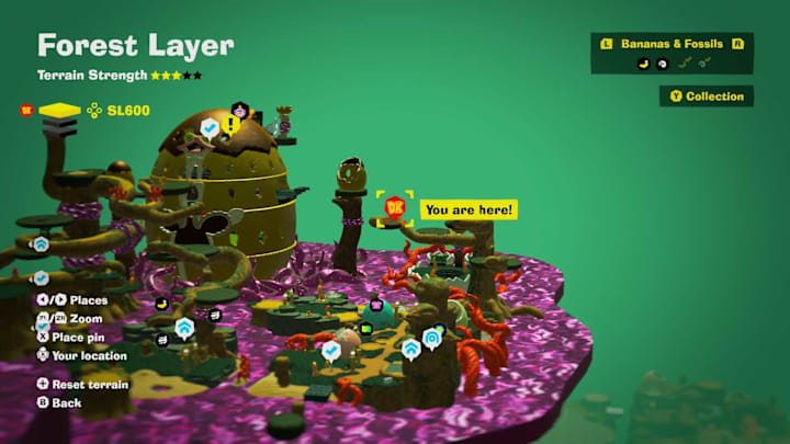 Forest Layer Cranky Kong location, DK Bananza