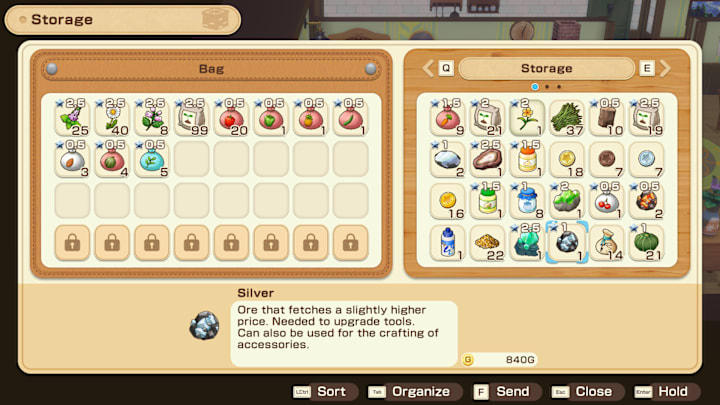 Silver in the player's storage.
