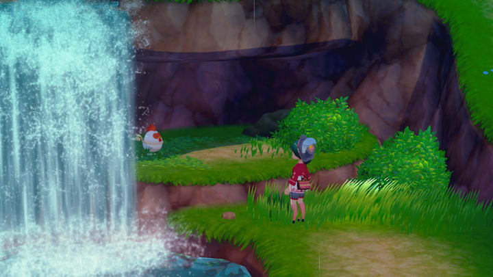 A chicken sitting under a waterfall.