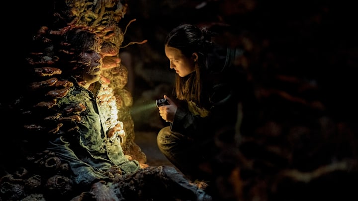 The Last of Us season 2 Episode 5 Bella Ramsey Ellie