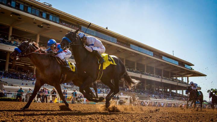 Horse Racing Picks from Del Mar on Saturday, Aug. 6. Bet at TVG and FanDuel Racing.