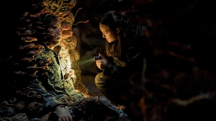 Photograph by Liane Hentscher/HBO