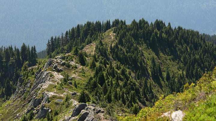 A long trail below. North Cascades National Park, Washington, USA