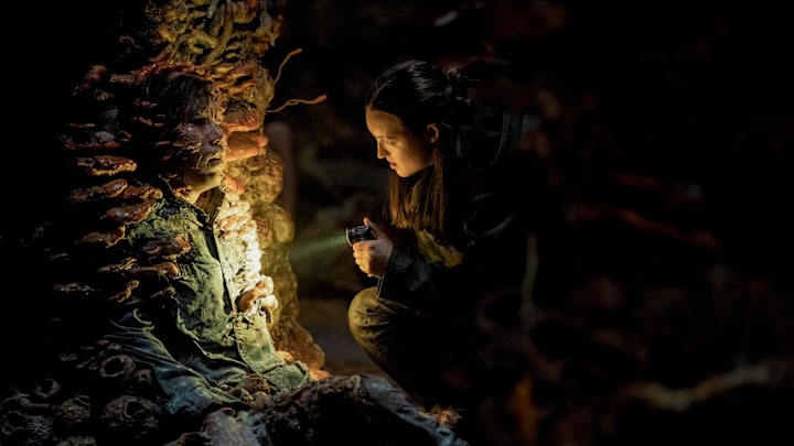 Photograph by Liane Hentscher/HBO