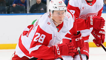 Detroit Red Wings v New York Islanders