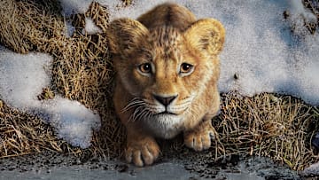 MUFASA: THE LION KING - © 2024 Disney Enterprises, Inc. All Rights Reserved.