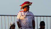 An Arkansas Razorbacks fan stands at the top of the ballpark during the eighth inning against the LSU Tigers at Charles Schwab Field.