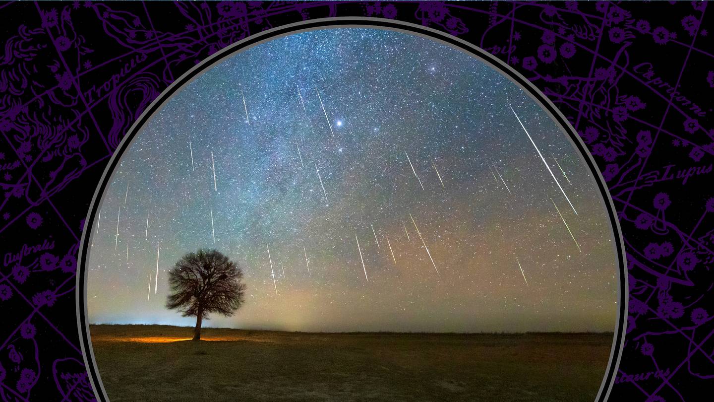 Don’t Miss the Rare Double Meteor Shower at the End of July