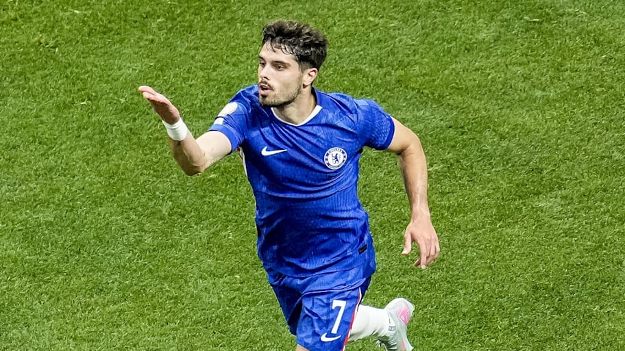 Pedro Net