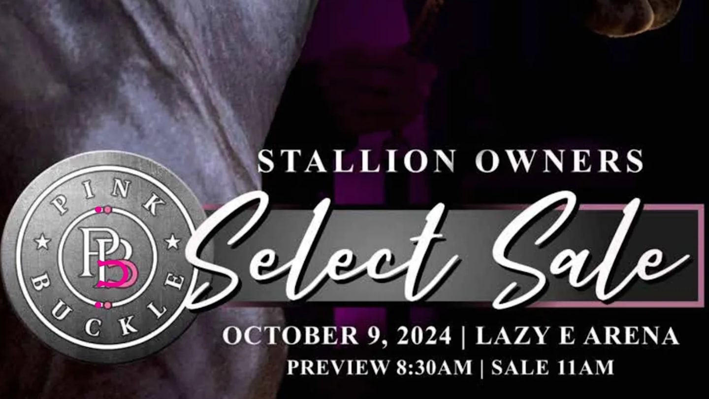 2024 Pink Buckle Stallion Owners Select Sale Was Red Hot in Guthrie