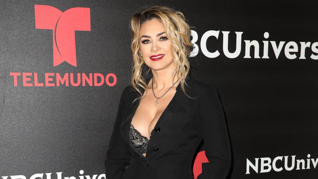 Aracely Arámbula tuvo dos hijos con Luis Miguel, aunque el cantante no tiene contacto con ellos