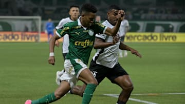 Palmeiras e Botafogo se enfrentam pela quarta vez em 2024