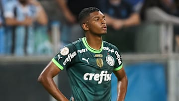 Gremio v Palmeiras - Brasileirao 2023