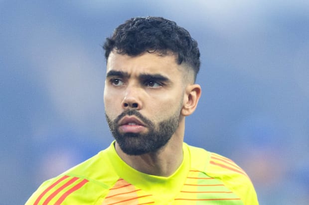 David Raya