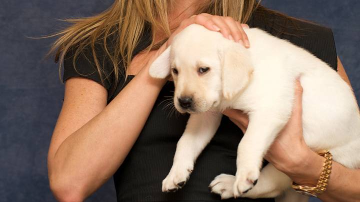 "Marley & Me" Press Conference "Marley & Me" Press Conference