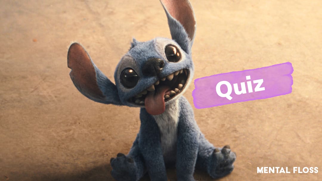 Stitch from ‘Lilo & Stitch’