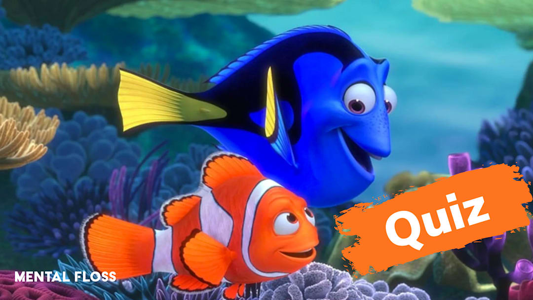 ‘Finding Nemo’