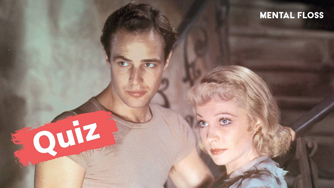 Marlon Brando and Vivien Leigh in ‘A Streetcar Named Desire’ Marlon Brando and Vivien Leigh in ‘A Streetcar Named Desire’