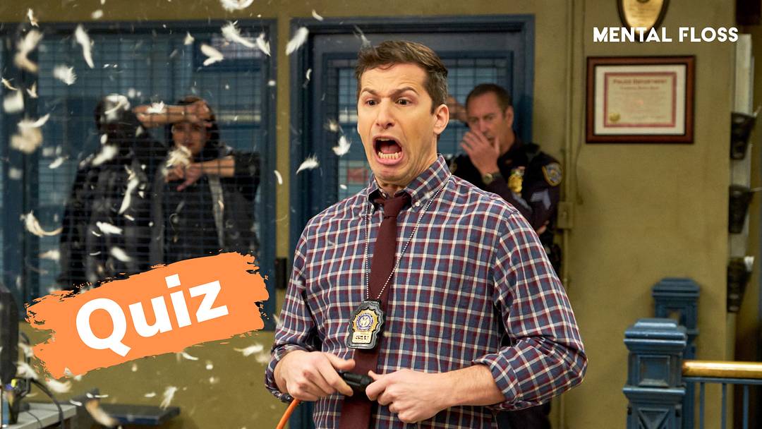 Andy Samberg in ‘Brooklyn Nine-Nine’ Andy Samberg in ‘Brooklyn Nine-Nine’