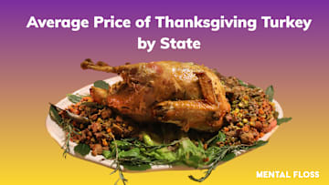 A Thanksgiving turkey