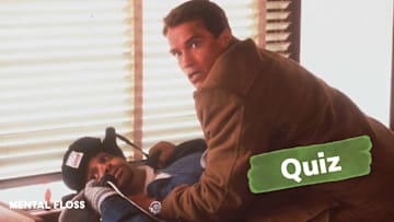 Sinbad and Arnold Schwarzenegger in ‘Jingle All the Way’