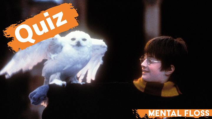 Harry Potter and the Sorcerer's Stone movie still with "quiz" label