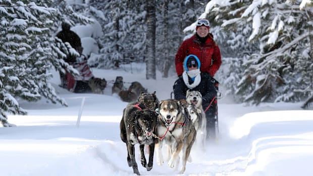 People dog sledding through snow.