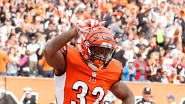 Carolina Panthers v Cincinnati Bengals