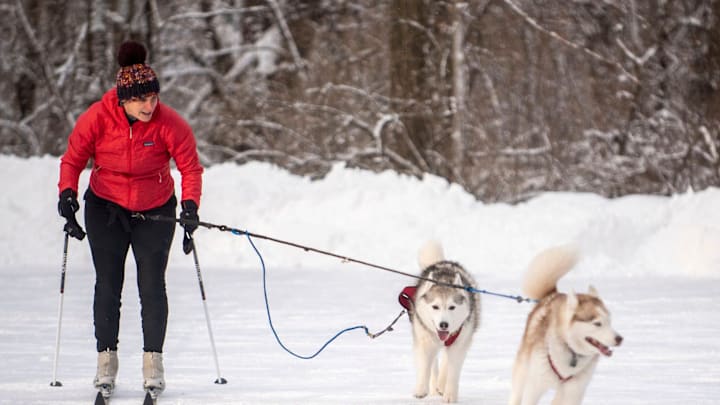 Angela Bowers goes skijoring with her huskies Joanie and Sully on Friday, Feb. 5, 2021 at Fort Custer Recreation Area in Augusta, Mich.