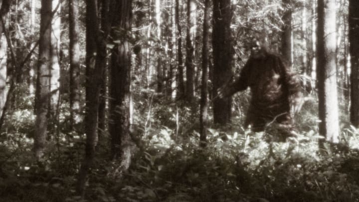 Bigfoot is pictured