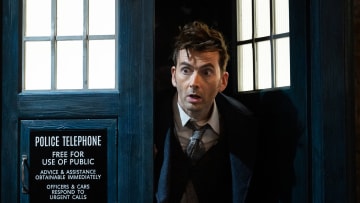 The Doctor (David Tennant)