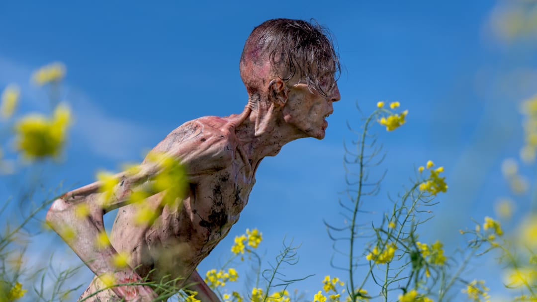 An infected in Columbia Pictures' 28 YEARS LATER.
