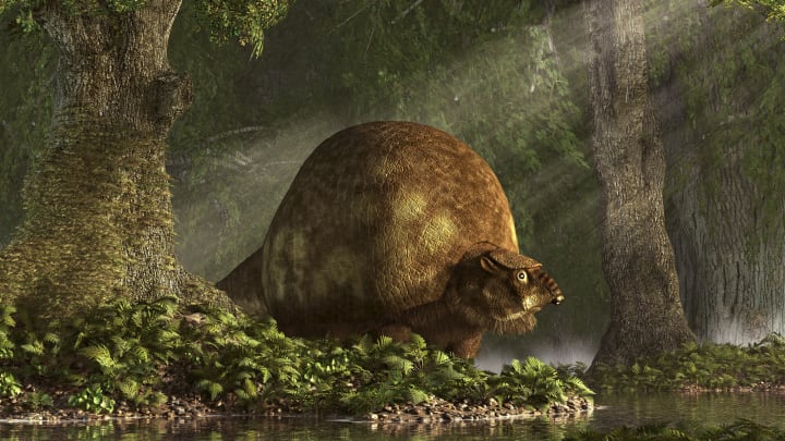 Illustration of Glyptodon.