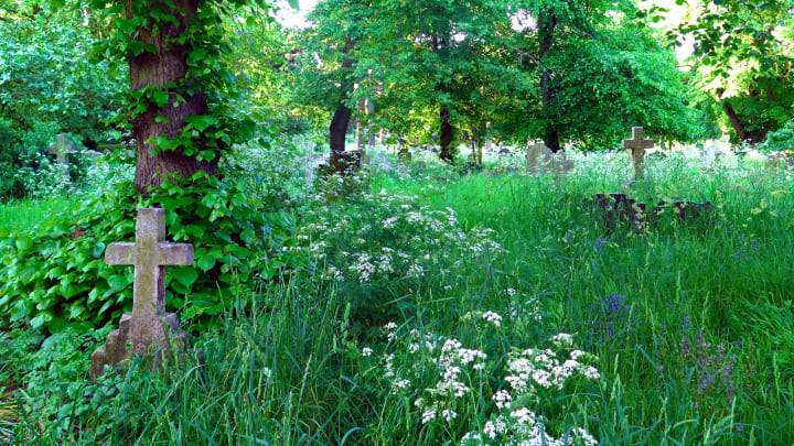 Green burial options are kinder to the environment.