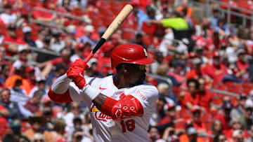 Houston Astros v St. Louis Cardinals