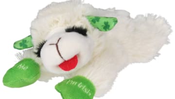 St. Patrick’s Day: Green Gifts for Pets from Petco. Image courtesy Petco